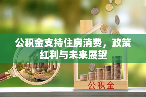 三台公积金支持住房消费，政策红利与未来展望